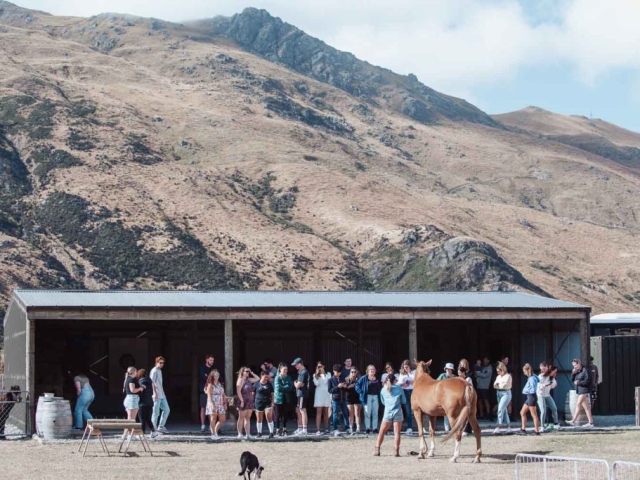 Farm Show Queenstown