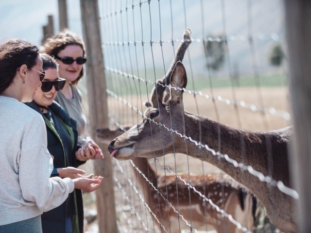 Copy of FALLON 230215 54970 171 Preview