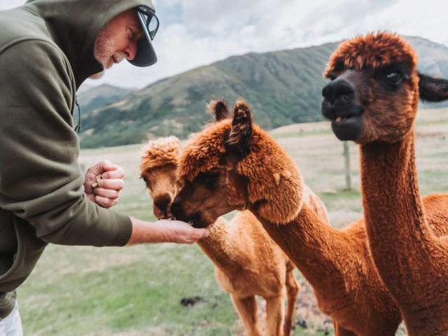 FALLON 0403 240326 9035 Preview