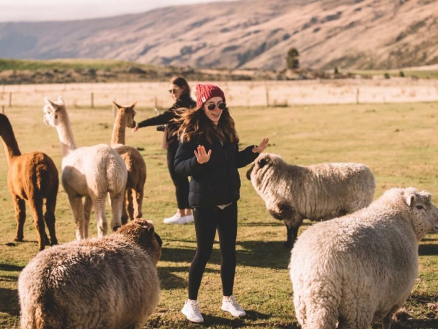 FALLON 201110 3602 Master Preview