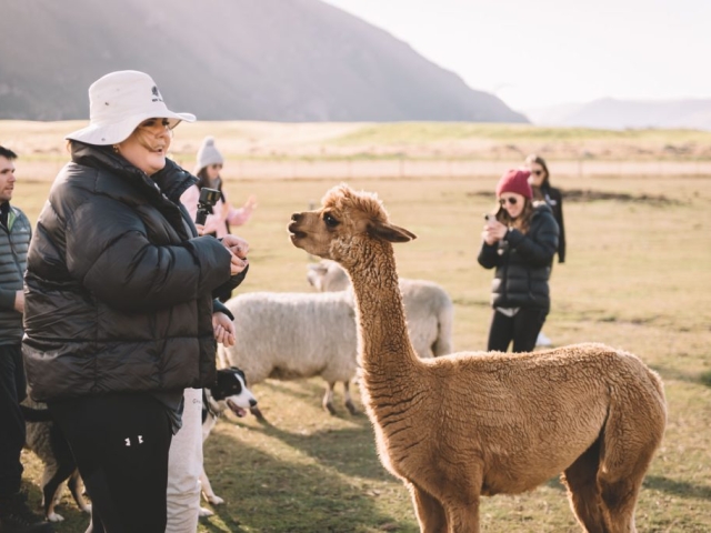 FALLON 201110 9616 Master Preview