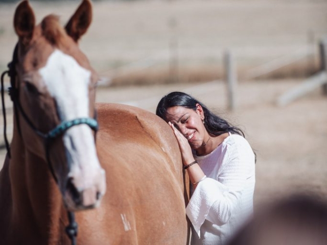 Horse Interaction