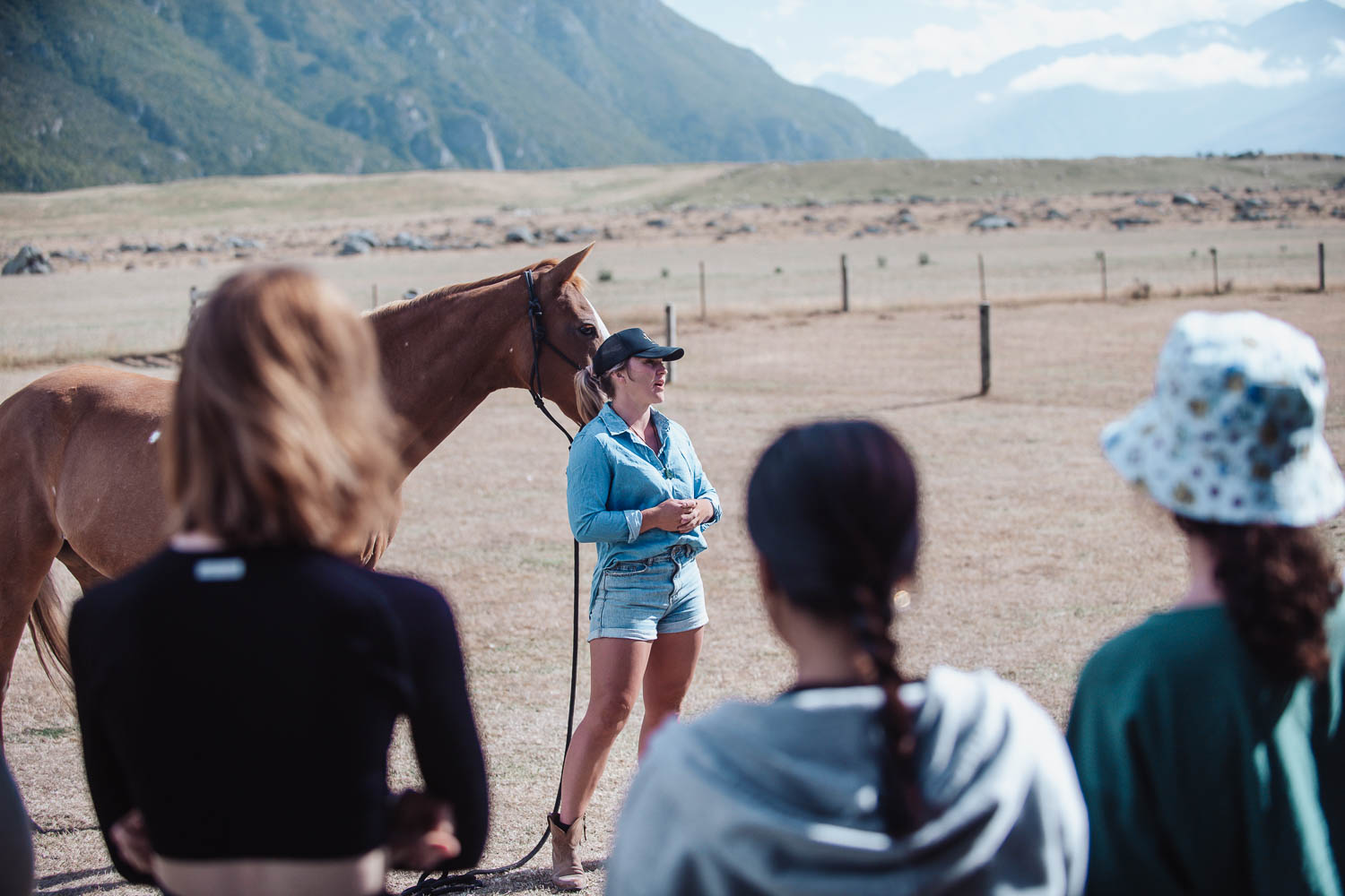 Farm Show New Zealand