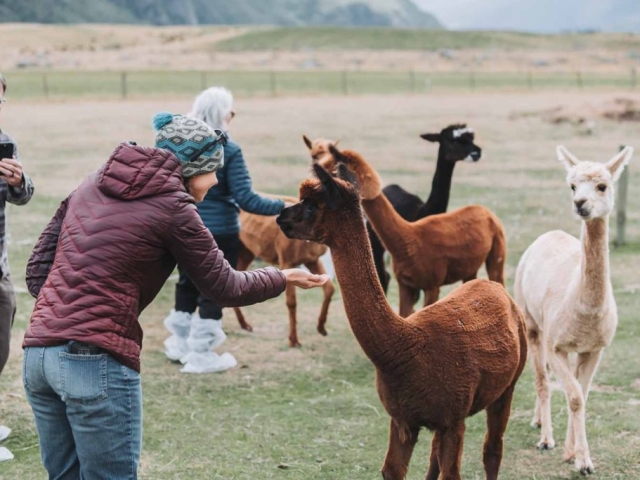 FALLON 1096 240326 7030 Preview