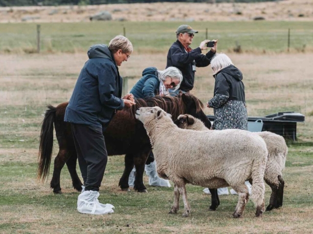 FALLON 1123 240326 7057 Preview