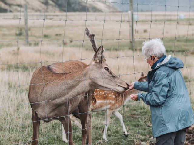 FALLON 1165 240326 7099 Preview