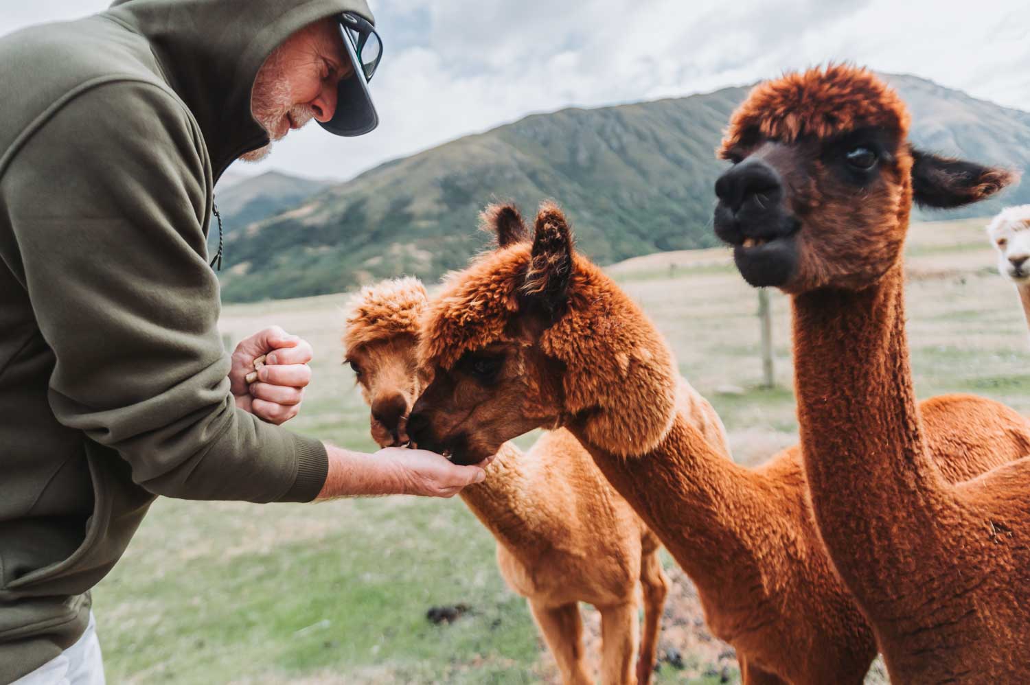 FALLON 0403 240326 9035 Preview